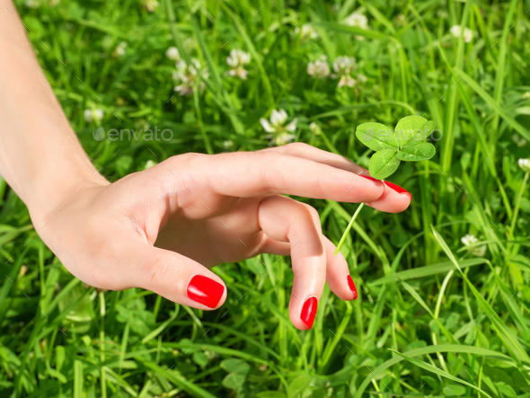 business details clover lily nails business details clover lily nails